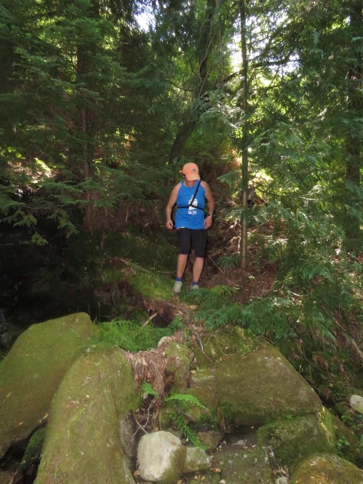 13508819_1234053069945767_7962533945060719926_n.jp