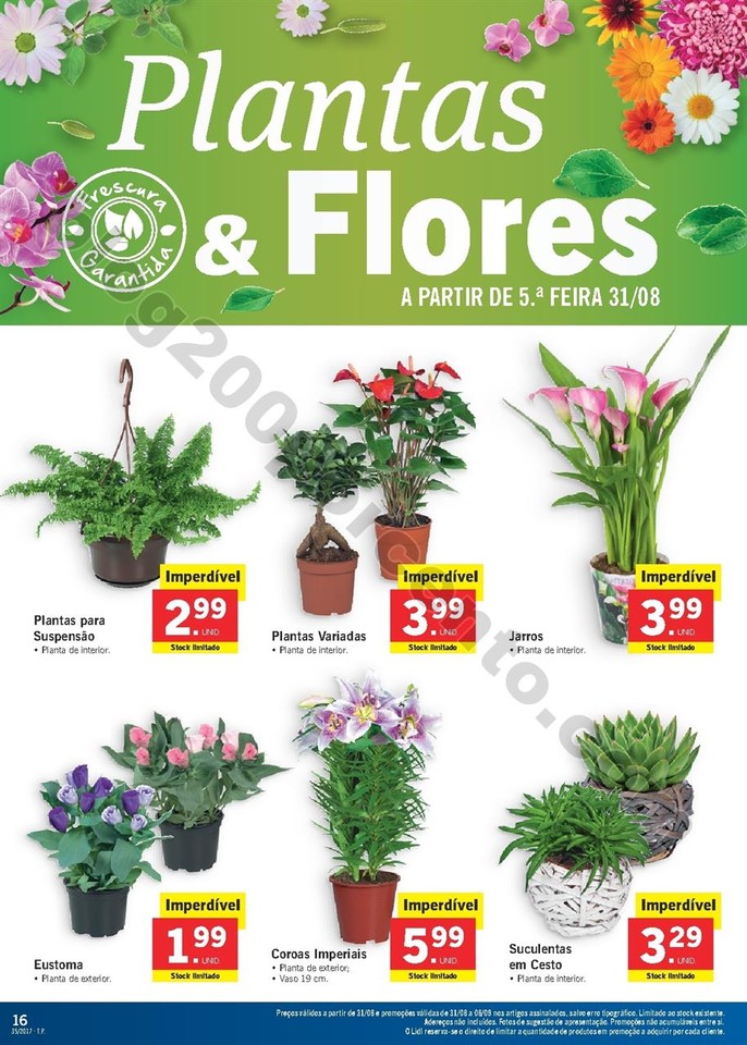 Promo_es_v_lidas_a_partir_de_31_08_2017_Mais_para_