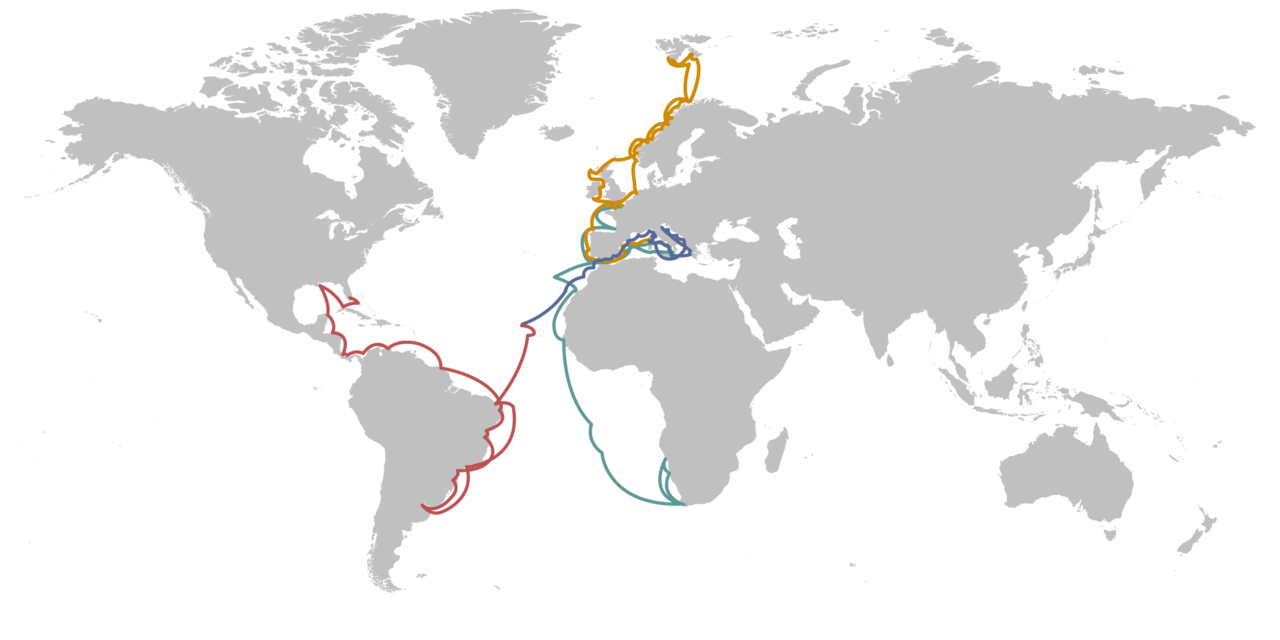 The World 2018-Full-Map-02.png