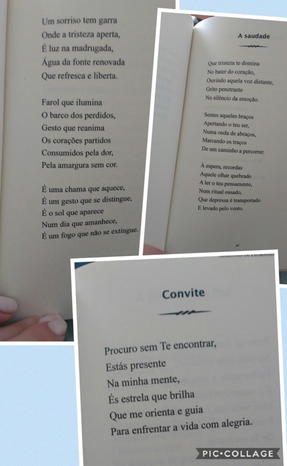 Collage 2018-07-31 15_15_20.jpg