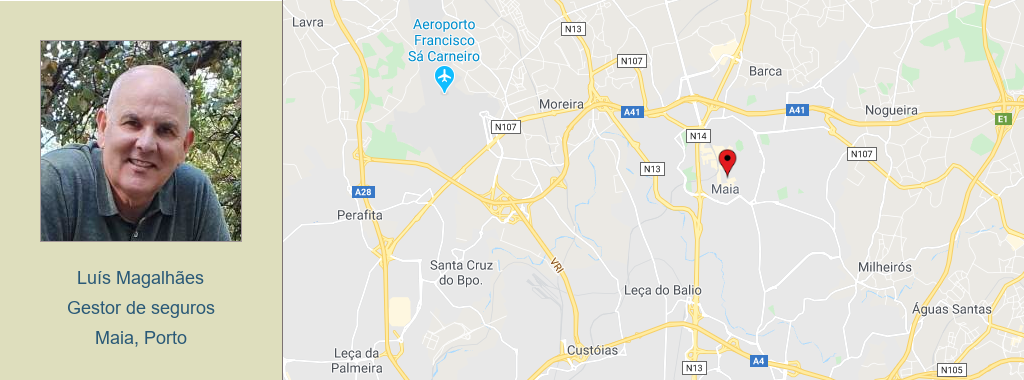 Cabeçalho Luís Magalhães (1).png