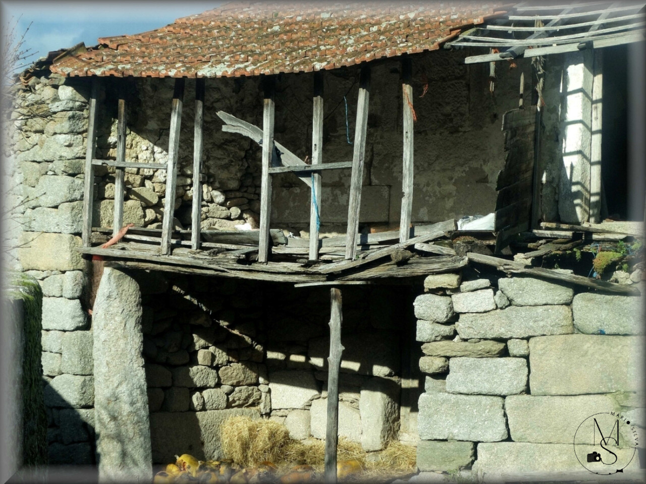 23Jan DSC09710_ms.jpg