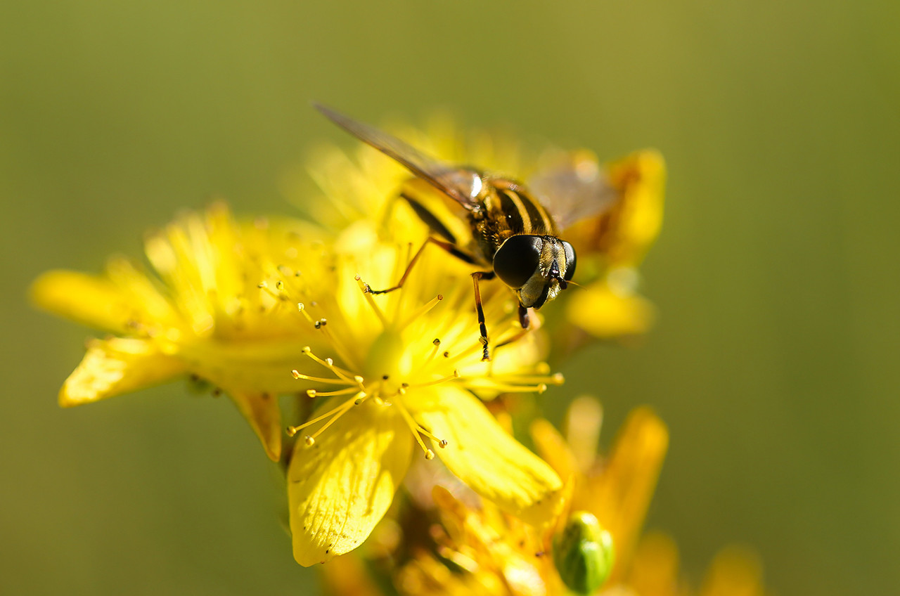 perguntas e respostas