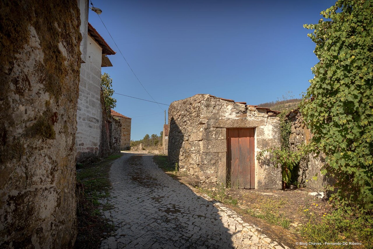 31-1600-ventuzelos (56).jpg