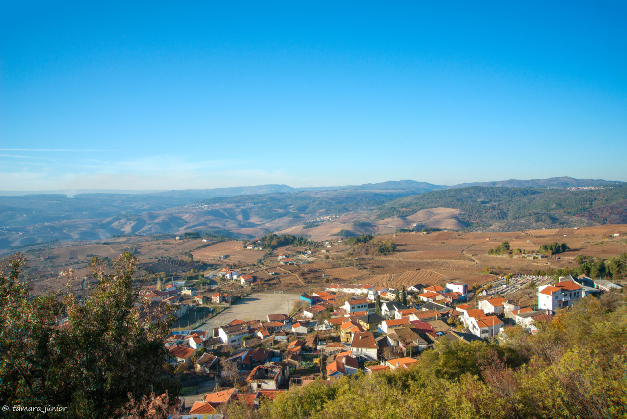 2017.- Pelo Douro no outono II (574).jpg 2017.- Pelo Douro no outono II (574).jpg