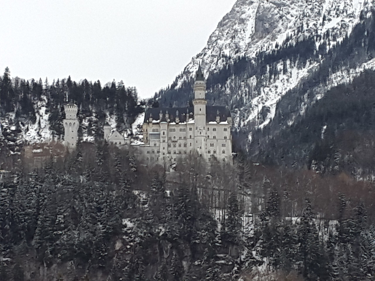 2016-03-03 14.50.53.jpg