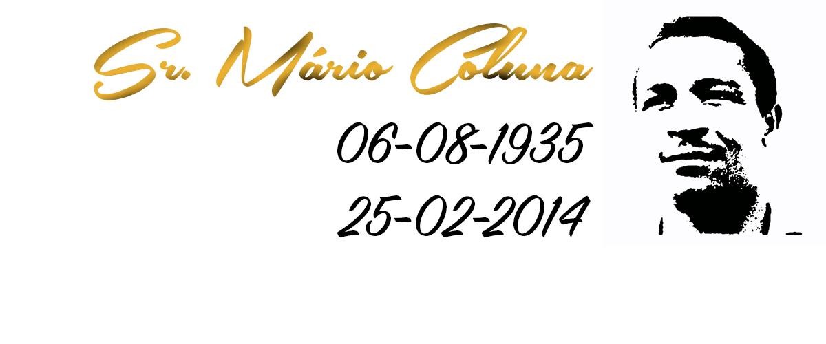 1973975_10203640347989321_3725948538185768774_o.jp 1973975_10203640347989321_3725948538185768774_o.jp