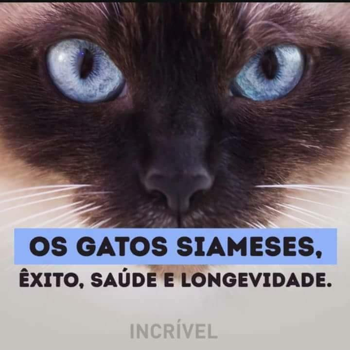 FB_IMG_1494613103358.jpg FB_IMG_1494613103358.jpg