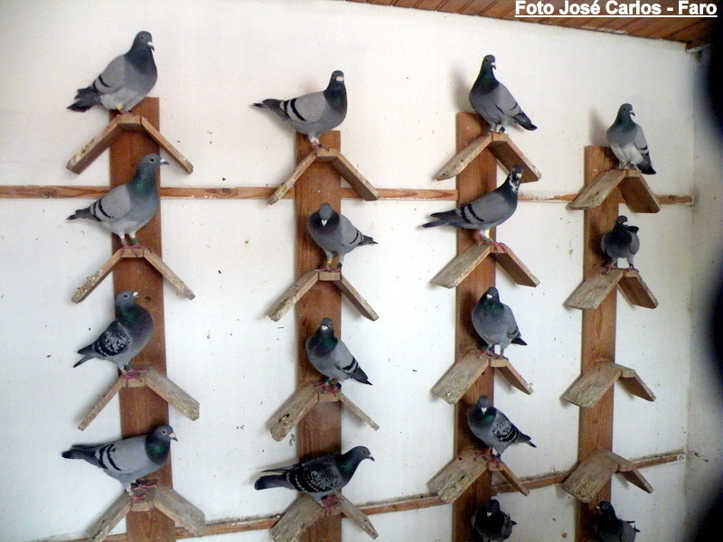 Lagos 003.JPG Lagos 003.JPG