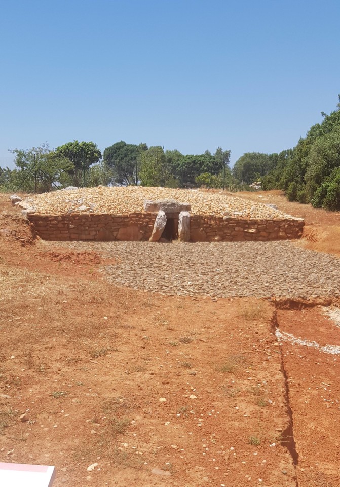 36329601_10210109832577102_6446272799173509120_n.j