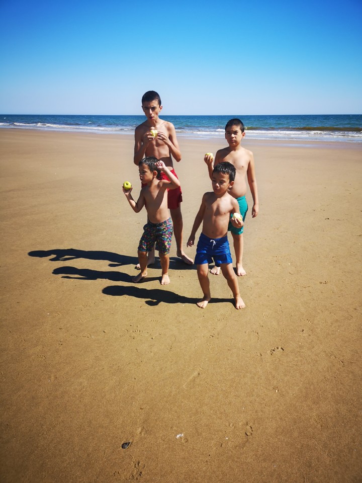 IMG_20200629_163523.jpg IMG_20200629_163523.jpg