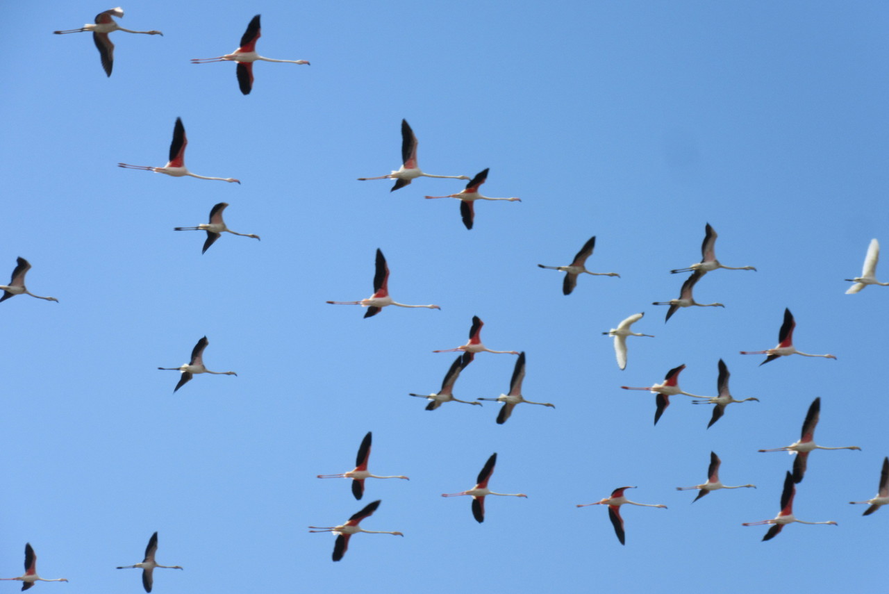 IMG_1895.JPG IMG_1895.JPG