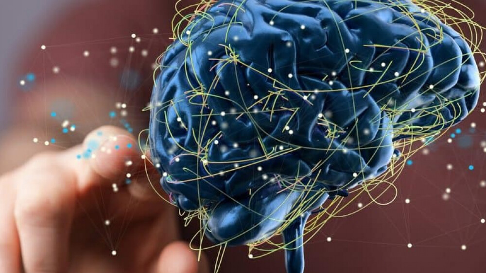 consciencia-atividade-cerebral-1000x450-1-1000x563