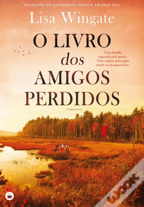 Livro_amigos_perdidos.png