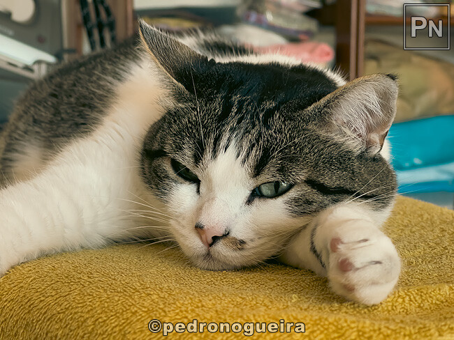 Ago_2024_002 650px.jpg