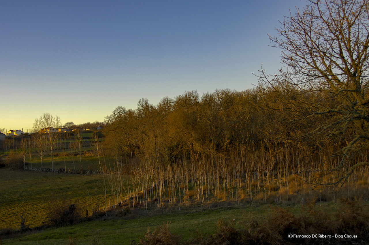 1600-carregal (186)-video.jpg