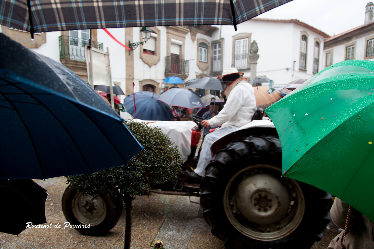 Carnaval de Côja 2016 (28)