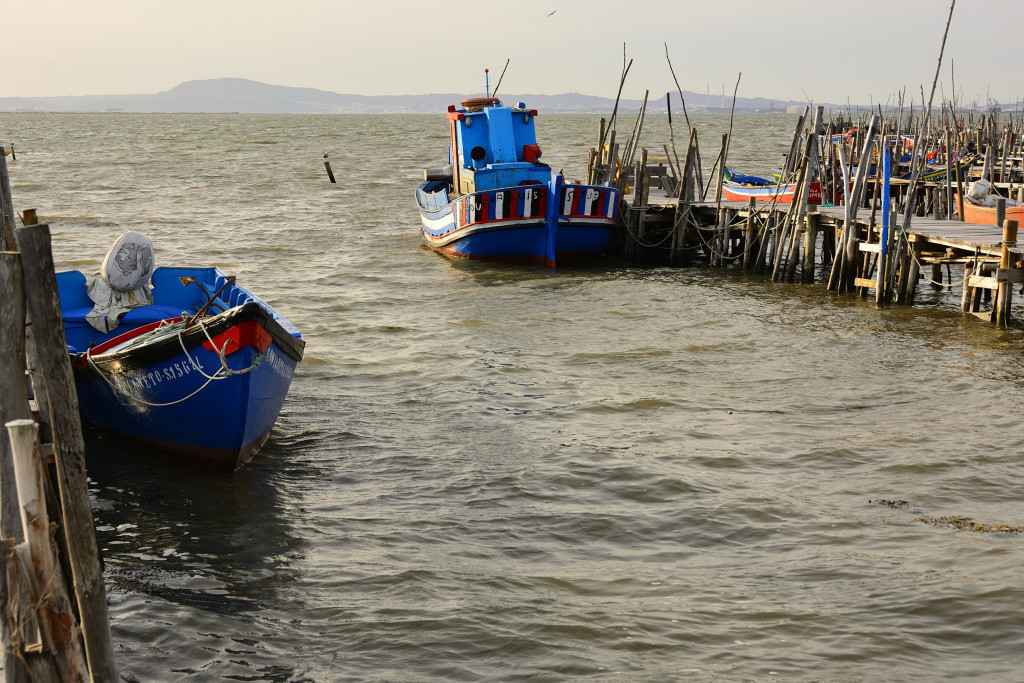 DSC_2912_01_00006.jpg DSC_2912_01_00006.jpg