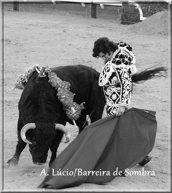 IMG_6718.JPG IMG_6718.JPG