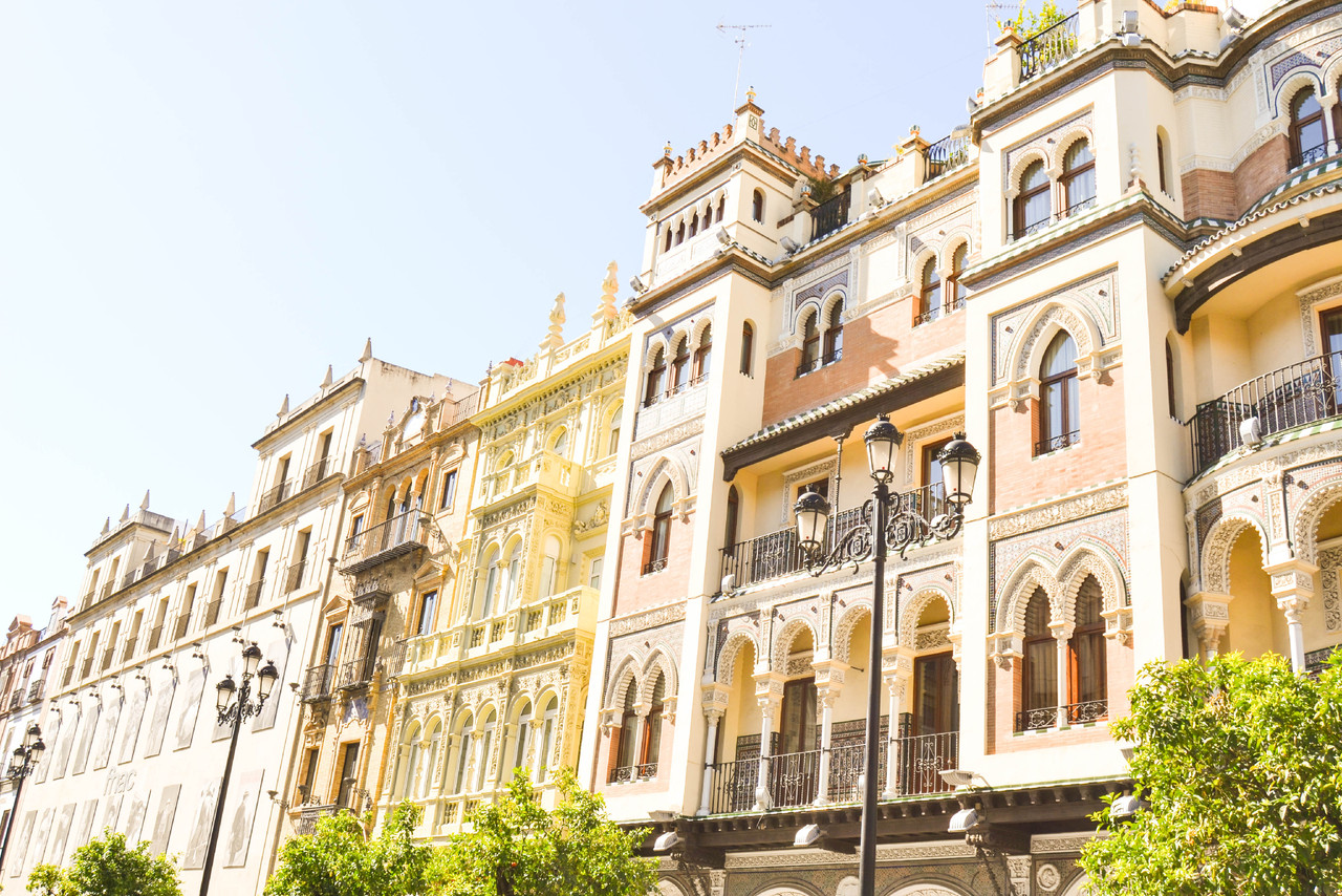 DSC_0687.jpg DSC_0687.jpg