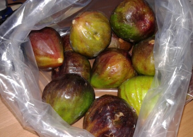 2012-01-01 09.07.41.jpg