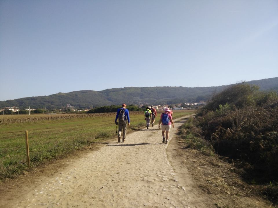 22851756_1955378627821987_8479652483578118813_n.jp 22851756_1955378627821987_8479652483578118813_n.jp