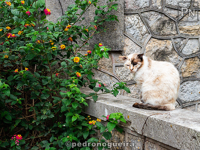 Jun_2023_025 650px.jpg