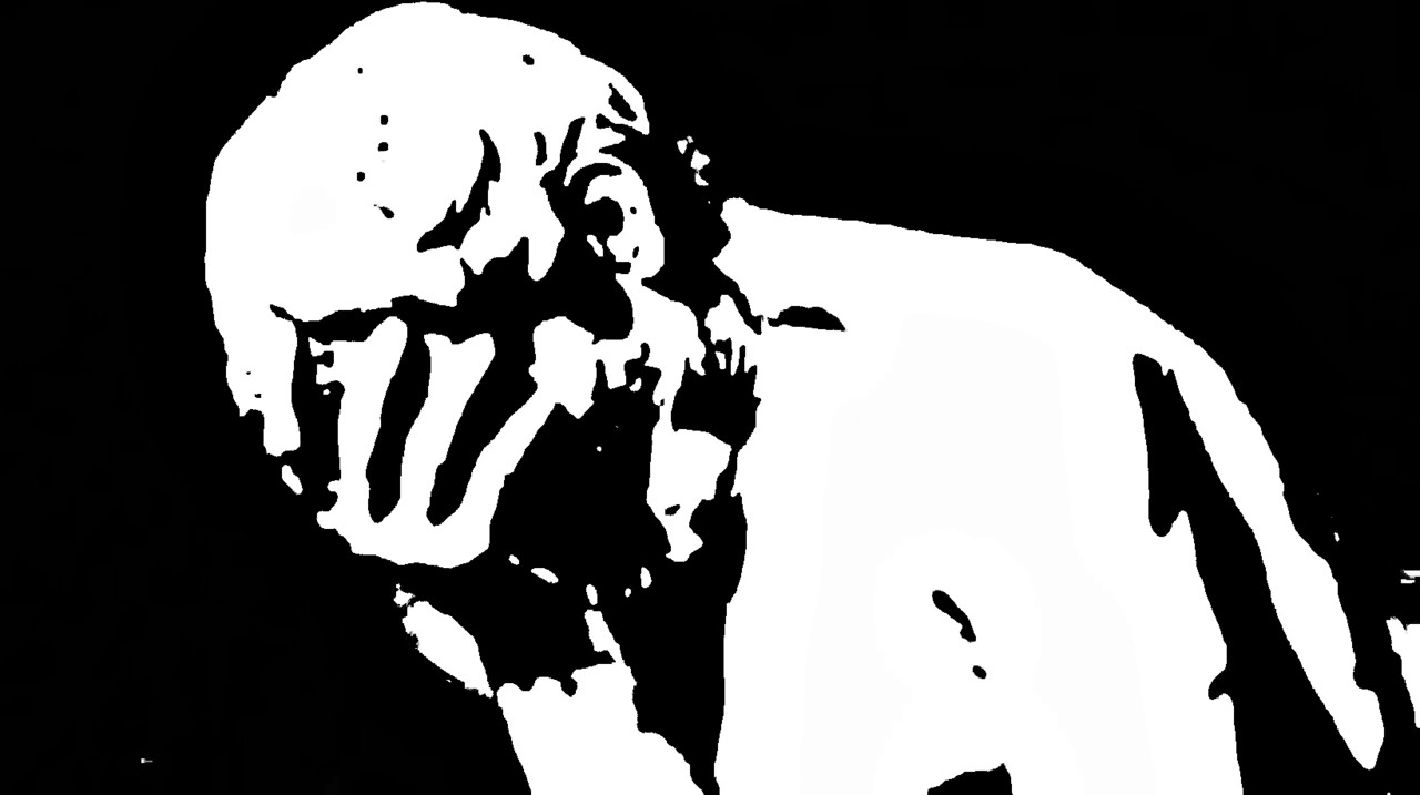 Vergonha.jpg Vergonha.jpg