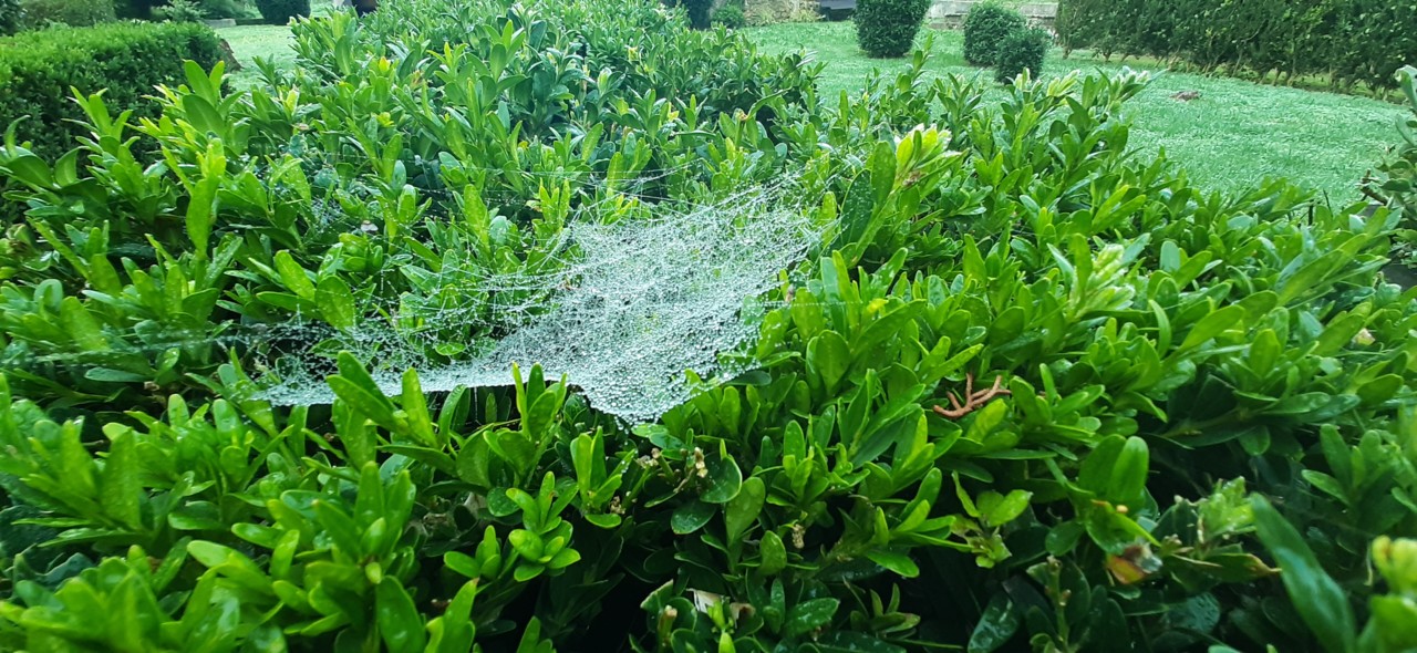 20191223_093023.jpg 20191223_093023.jpg