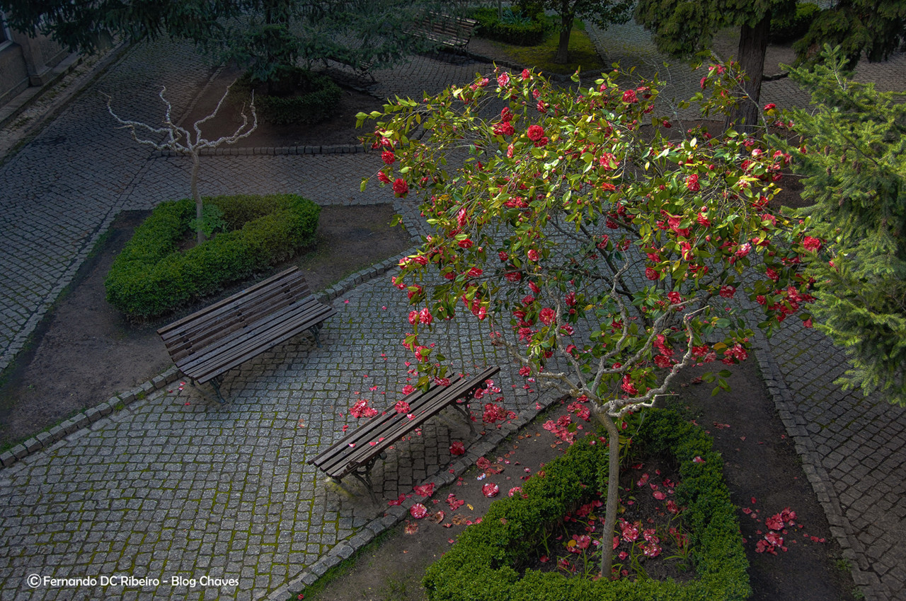 aniversario-15 (14).jpg