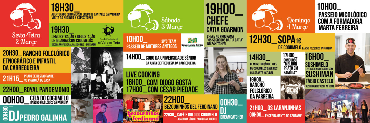 UFPC_-_FCP18_programaWEB_VERSO_a9e48af62cb7f08507e