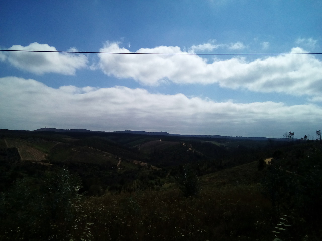 IMG_20180626_103425.jpg IMG_20180626_103425.jpg