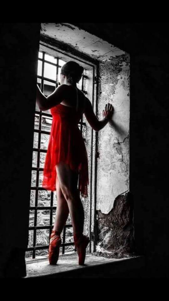 FB_IMG_1450006896888.jpg FB_IMG_1450006896888.jpg