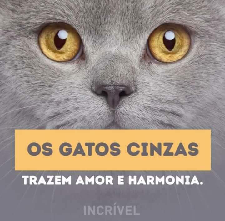 FB_IMG_1494613097455.jpg FB_IMG_1494613097455.jpg