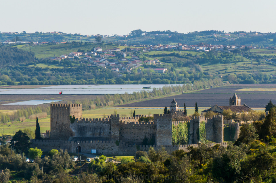 DSC01385.jpg DSC01385.jpg