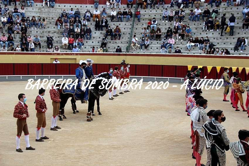 IMG_6366.JPG IMG_6366.JPG