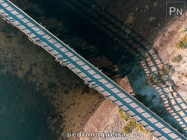 M2_Jul_2021 013b 650px.jpg