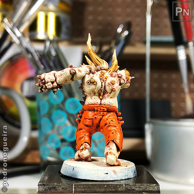 Set_2019_059e 650px.jpg Set_2019_059e 650px.jpg