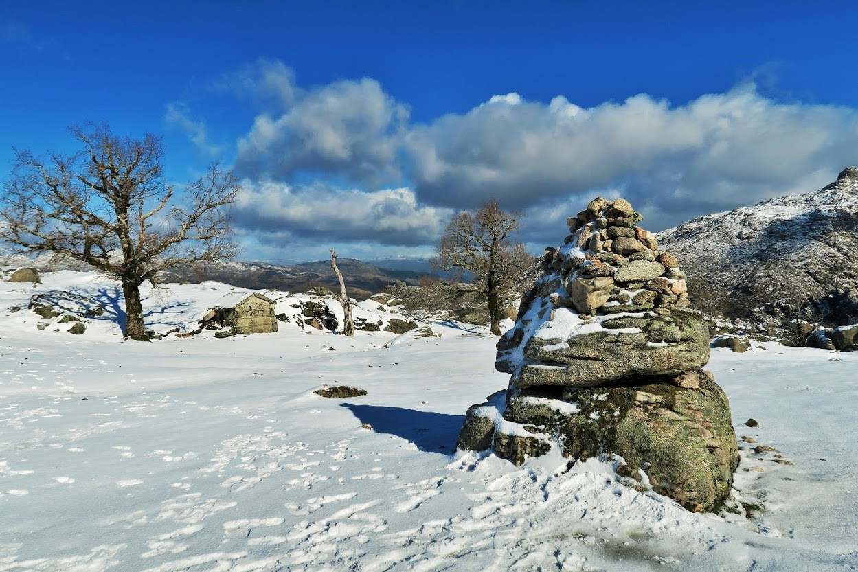 IMG_0045.JPG IMG_0045.JPG