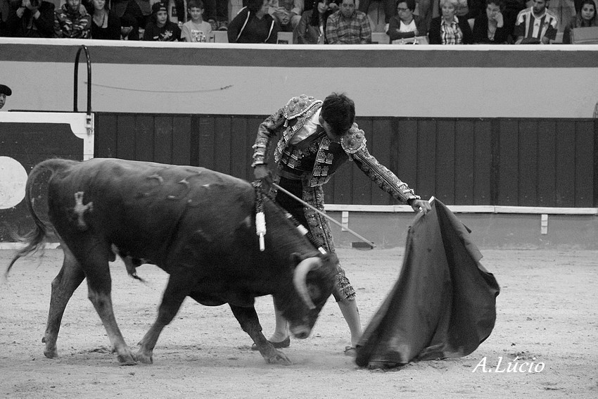 2 C Dominguez_0036.JPG