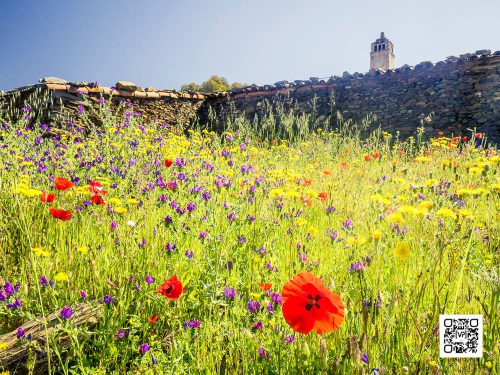 26952388_837682383070823_1233576746005932169_o.jpg 26952388_837682383070823_1233576746005932169_o.jpg