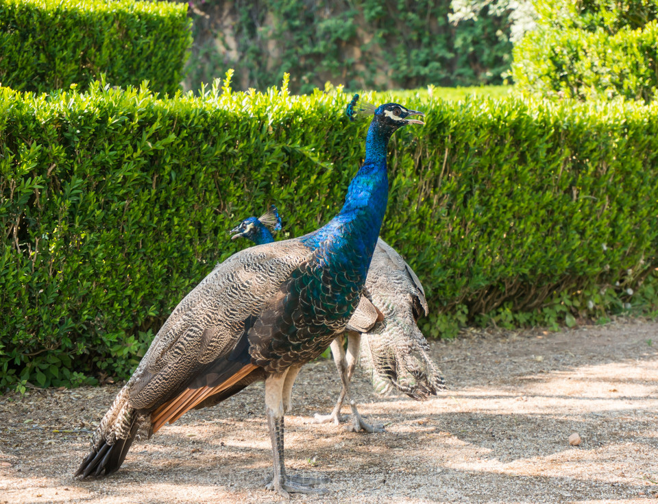 DSC00066.jpg DSC00066.jpg