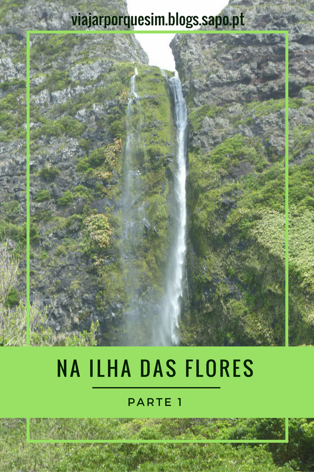 Na Ilha das Flores - parte 1.png