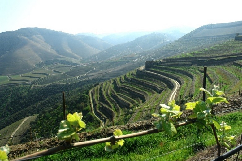 9334670_orig.jpg 9334670_orig.jpg