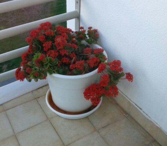 2016-03-09 15.54.23.jpg 2016-03-09 15.54.23.jpg