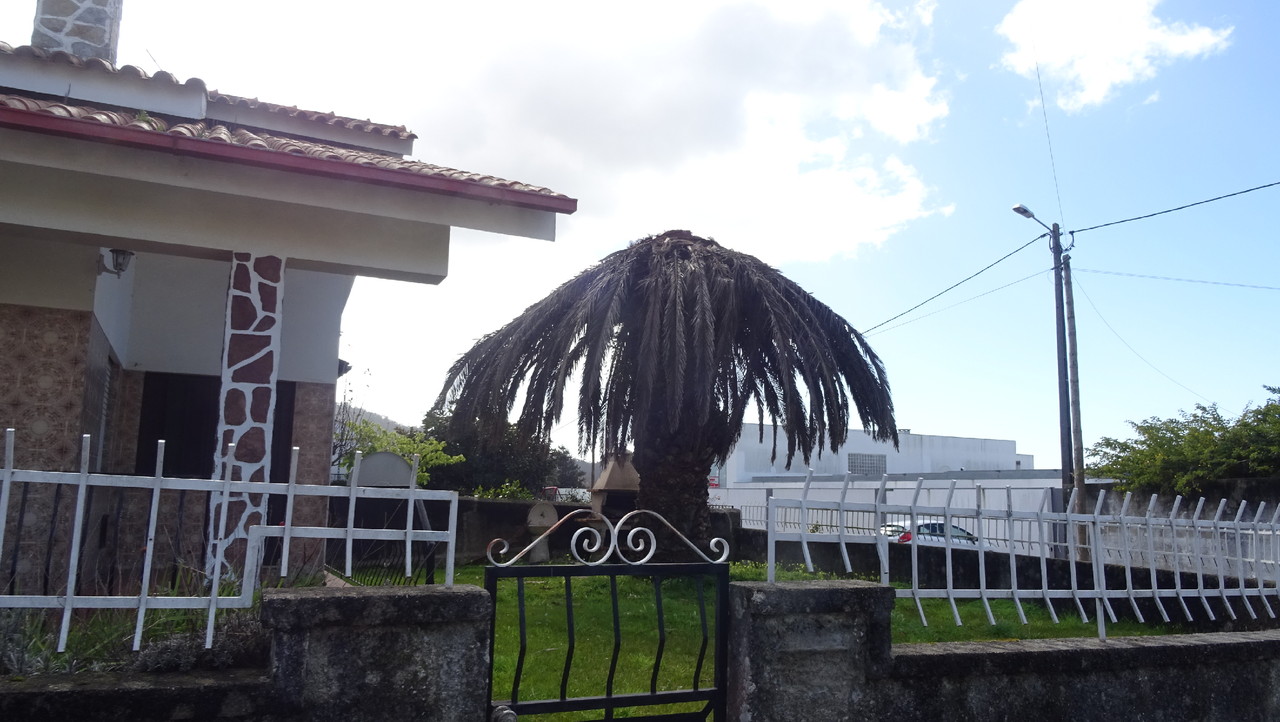 DSC00255.JPG DSC00255.JPG