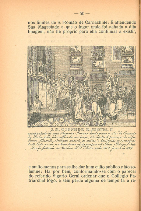 FL_0063_branca_t0.jpg FL_0063_branca_t0.jpg