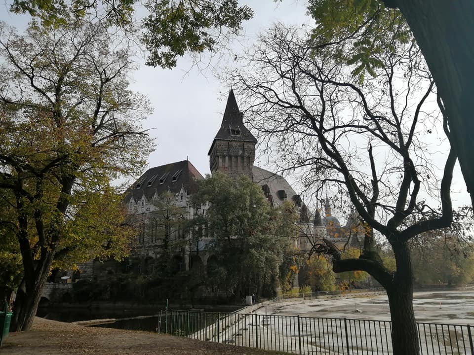 74265363_2522825551136414_6845428200462352384_n.jp 74265363_2522825551136414_6845428200462352384_n.jp