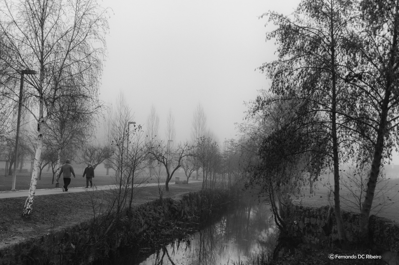 1600-(41599).jpg 1600-(41599).jpg