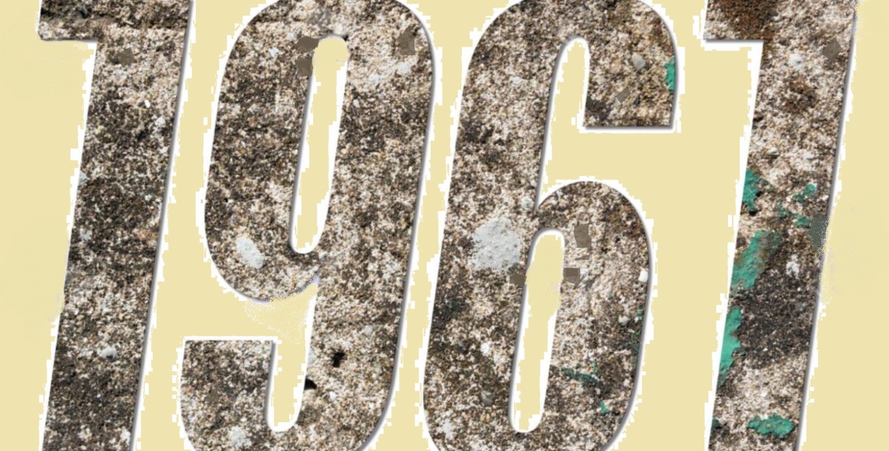 No Ano em que Eu Nasci.jpg